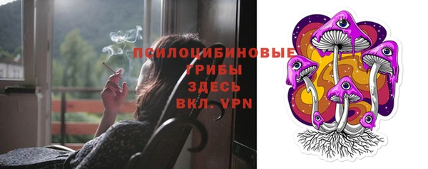 бошки Богородск