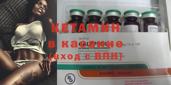 PSILOCYBIN Белокуриха