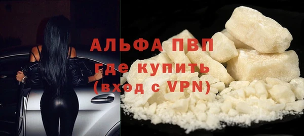 PSILOCYBIN Белокуриха