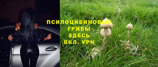 скорость Богородицк
