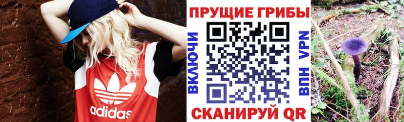 Галлюциногенные грибы GOLDEN TEACHER  где найти   Тотьма 